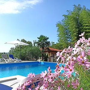  Apartament Garden